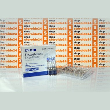 Testosterone Enantate 250 мг Zhengzhou Pharmaceutical Co. Ltd